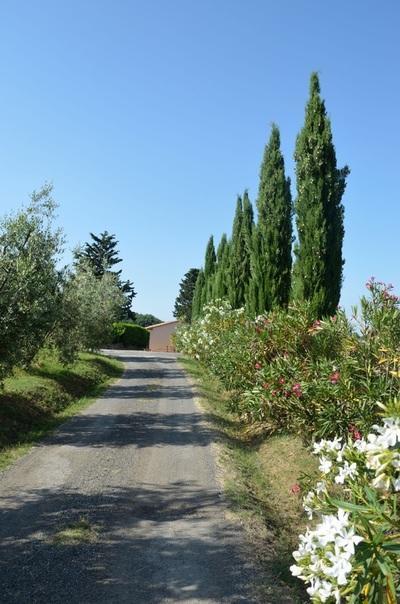 Agriturismo Rosa Dei Venti Pomarance Exterior foto